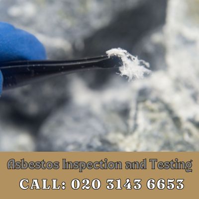 Comprehensive Asbestos Inspection and Testing Services in West Molesey